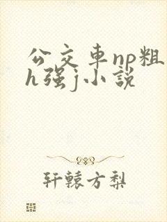 公交车np粗暴h强j小说