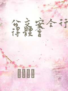公交安全行车心得体会