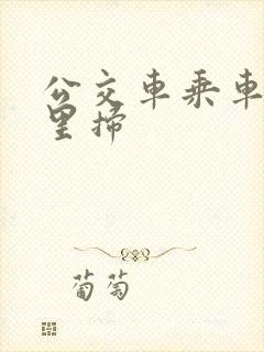 公交车乘车码哪里扫