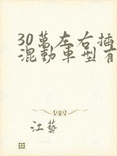 30万左右插电混动车型有哪些