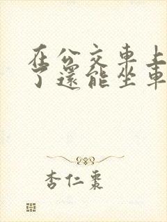 在公交车上高潮了还能坐车吗