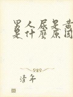 男人尿是黄色的是什么原因