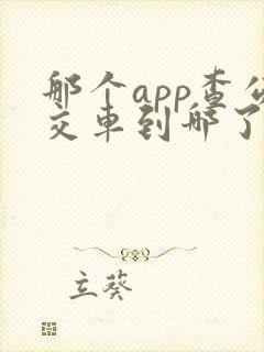 那个app查公交车到哪了