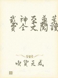 武神至尊叶风免费全文阅读无弹窗