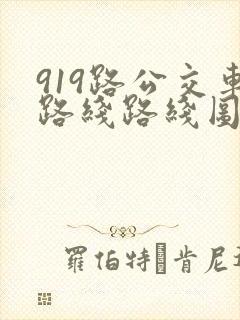 919路公交车路线路线图