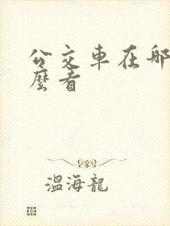 公交车在哪里怎么看