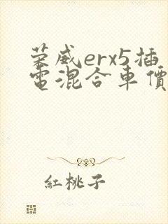 荣威erx5插电混合车价格