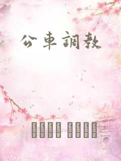 公车调教