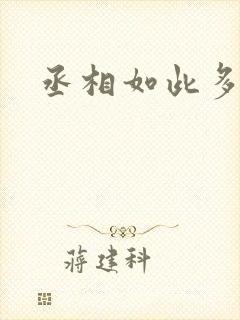 丞相如此多娇