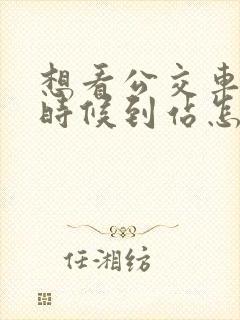 想看公交车什么时候到站怎么查
