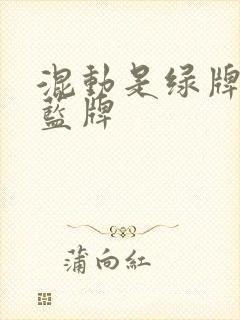 混动是绿牌还是蓝牌