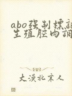 abo强制标记生殖腔肉调教
