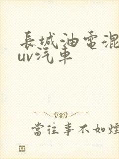 长城油电混合suv汽车