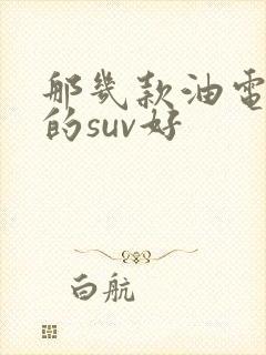 那几款油电混合的suv好