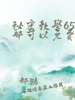 秘密教学65在哪可以免费阅读