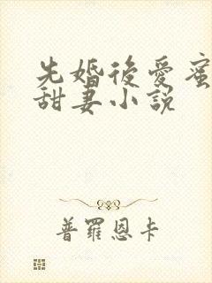 先婚后爱蜜宠娇甜妻小说