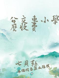 公交车小学生怎么收费