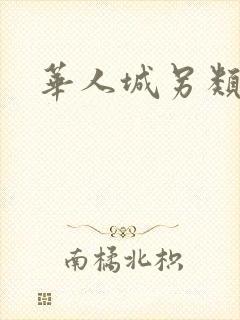 华人城另类小说