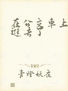 在公交车上被插进去了