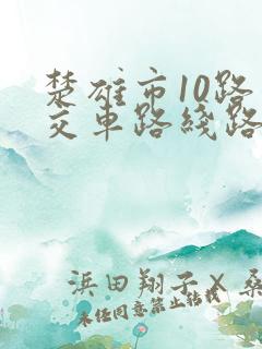 楚雄市10路公交车路线路