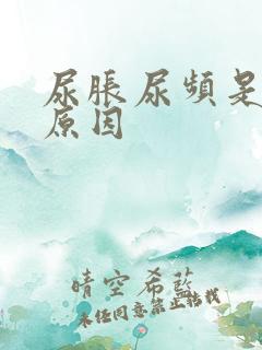 尿胀尿频是什么原因