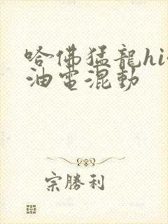 哈佛猛龙hi4油电混动