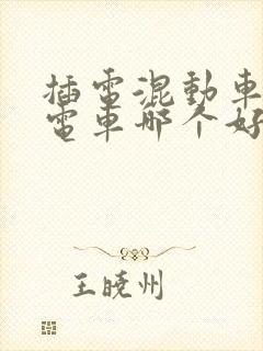 插电混动车和纯电车哪个好