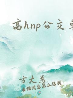 高hnp公交车