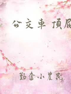 公交车 顶屁股