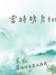 当时明月txt