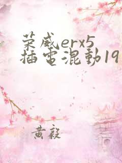 荣威erx5 插电混动19款多少钱