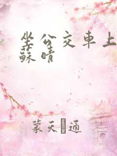 坐公交车上班的苏晴
