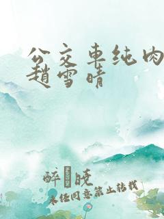 公交车纯肉超h赵雪晴