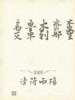 乌鲁木齐查看公交车到哪里了用什么软件