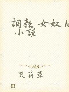调教 女奴 h 小说