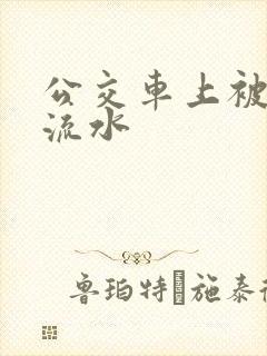 公交车上被蹭到流水