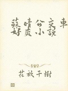 苏晴公交车被强好爽小说