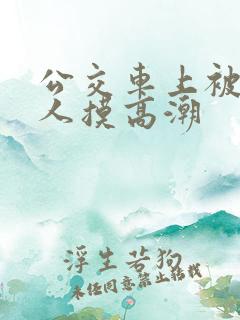 公交车上被陌生人摸高潮