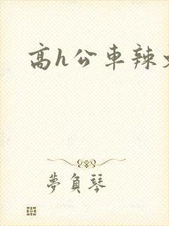 高h公车辣文