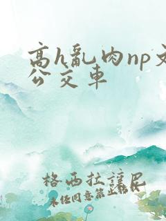 高h乱肉np文公交车