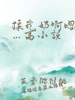 揉我奶啊嗯…啊…高小说