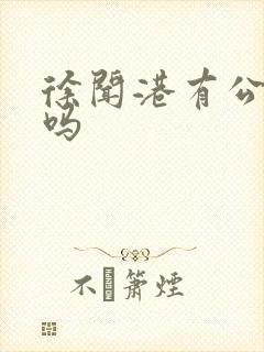 徐闻港有公交车吗