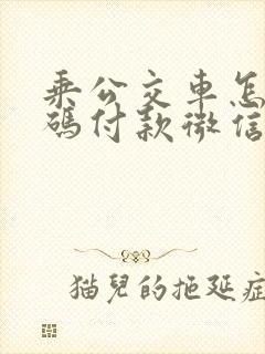 乘公交车怎么扫码付款微信