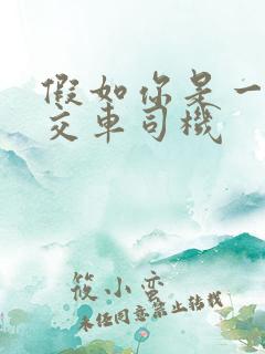 假如你是一个公交车司机