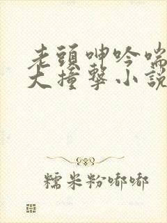 老头呻吟喘息硕大撞击小说