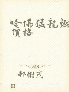 哈佛猛龙燃油版价格