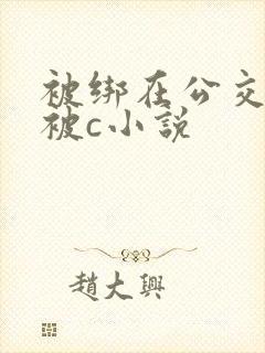 被绑在公交车里被c小说