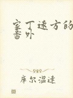 家丁远方的来客番外