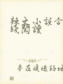辣文小说合集在线阅读