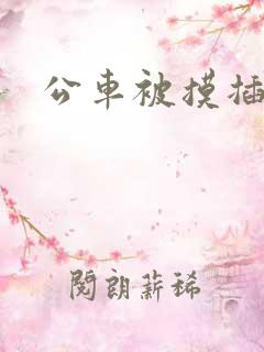 公车被摸插